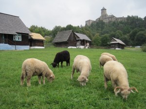 An outdoor traditional museum. 
